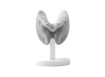 Эндокринология